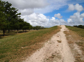 Enlarge photo 67