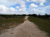 Enlarge photo 73