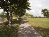 Enlarge photo 81