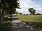 Enlarge photo 83