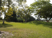 Enlarge photo 88