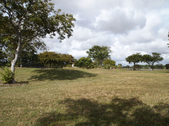 Enlarge photo 87