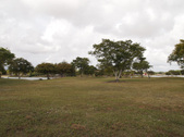 Enlarge photo 89