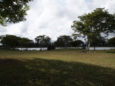 Enlarge photo 91