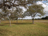 Enlarge photo 92