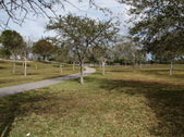 Enlarge photo 96