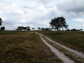 Enlarge photo 62