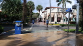Enlarge photo 46