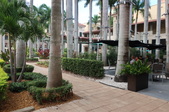 Enlarge photo 64