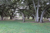Enlarge photo 35