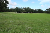 Enlarge photo 36