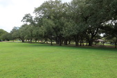 Enlarge photo 38