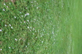 Enlarge photo 39