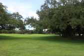 Enlarge photo 42