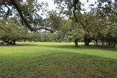 Enlarge photo 43