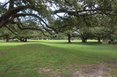 Enlarge photo 44