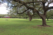 Enlarge photo 45