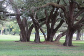 Enlarge photo 47