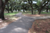 Enlarge photo 48