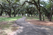 Enlarge photo 49