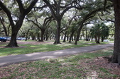 Enlarge photo 51