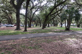 Enlarge photo 52