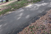 Enlarge photo 53