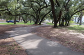 Enlarge photo 56