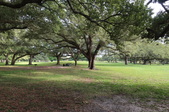 Enlarge photo 57