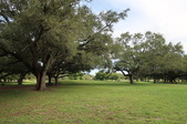 Enlarge photo 58