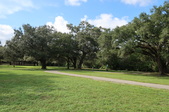 Enlarge photo 59