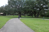 Enlarge photo 61