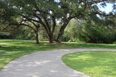 Enlarge photo 62