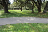 Enlarge photo 63