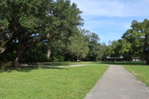 Enlarge photo 64