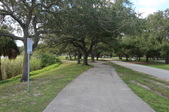 Enlarge photo 67