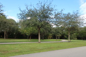 Enlarge photo 77