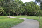 Enlarge photo 80