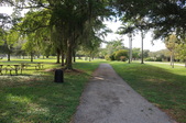 Enlarge photo 81