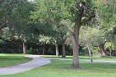 Enlarge photo 83