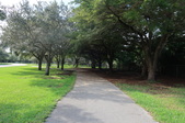 Enlarge photo 85