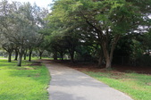 Enlarge photo 86