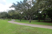 Enlarge photo 87