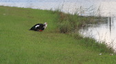 Enlarge photo 26