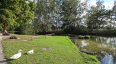 Enlarge photo 31