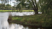 Enlarge photo 35