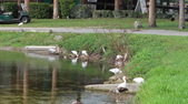 Enlarge photo 37