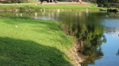 Enlarge photo 40