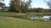 Enlarge photo 41