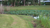 Enlarge photo 43